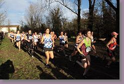 Begles 15.12.13 01 693 * 679 x 453 * (161KB)